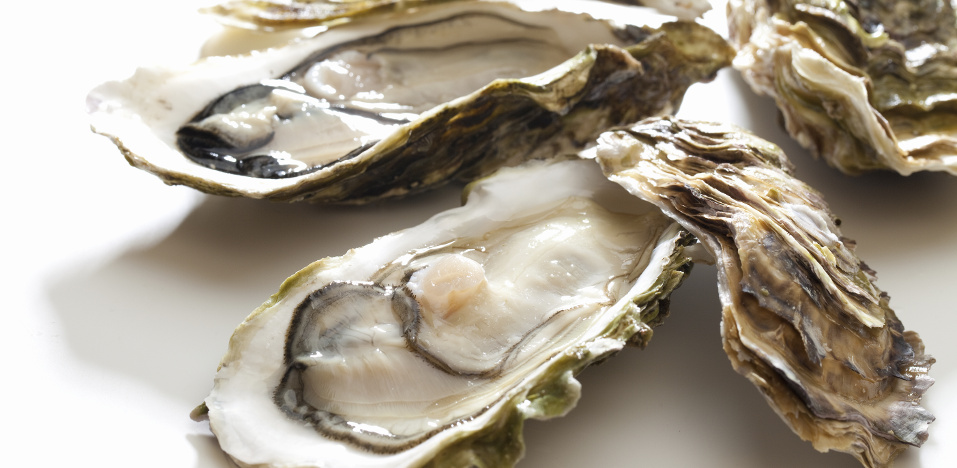 Are raw oysters safe to eat?